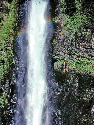 Tunnel Falls ( Eagle Creek Trail )