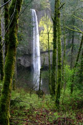 Falls in Columbia Gorge