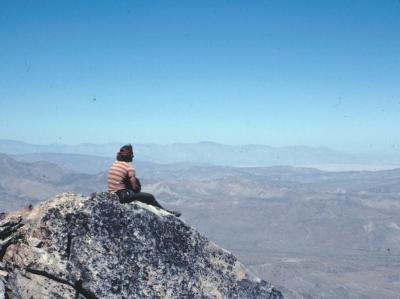 Rod Overlooking Desert.