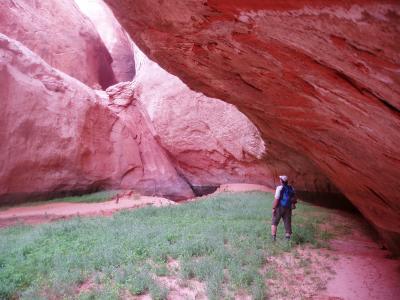 Life Returns to Slot Canyons  as Powell's Water Recedes