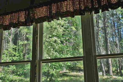 Dogwood From Inside Old Log School House