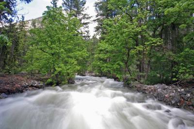 Rainbow Creek At High Water