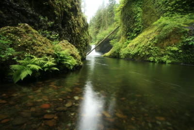 Punchbowl Falls