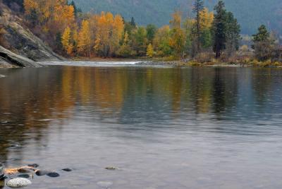 Fall Rain On Wenatchee River Near Monitor