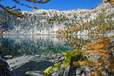 Larch , Log and Lake