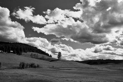 Clouds and Fields Near Waconda Pass