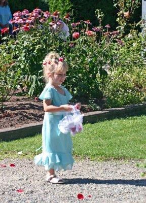 Flower Girl Leads Way With Rose Peddles