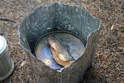  Trout For Breakfast ( Alcohol Stove Style)