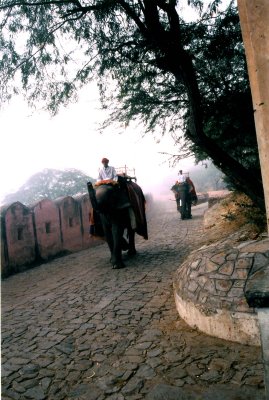 Jaipur, INDIA