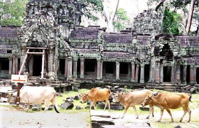 Seam Reap, Cambodia