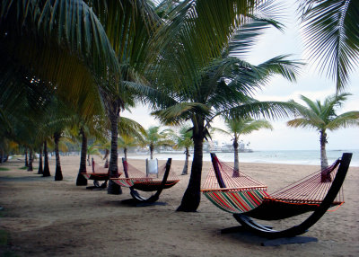 hammocks. Isla verde PUERTO RICO