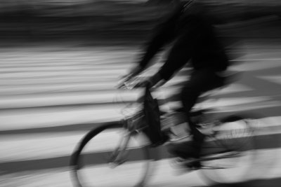 Rider on 5th Avenue