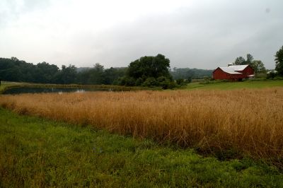 Field and Barn