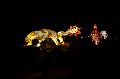 Goanna, Sun and Kangaroo lanterns