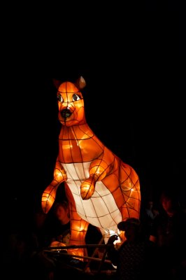 Kangaroo lantern