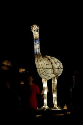 Emu lantern