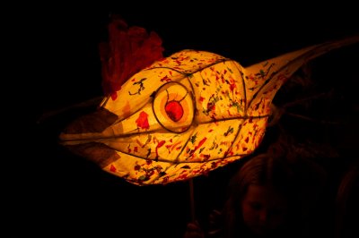 Fish lantern