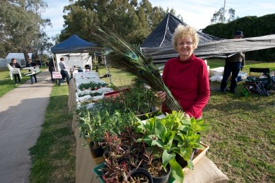 Margaret Girot with new season plants