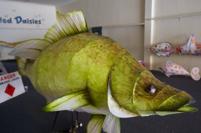 The great Cod lantern