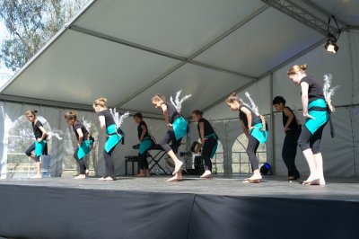 Lyre Bird Dancers