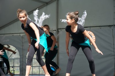 Lyre Bird Dancers