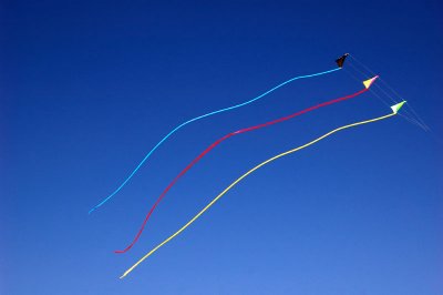 Kites 2