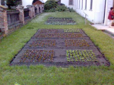 Mendel's garden in Brno