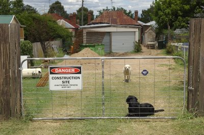 the back yard