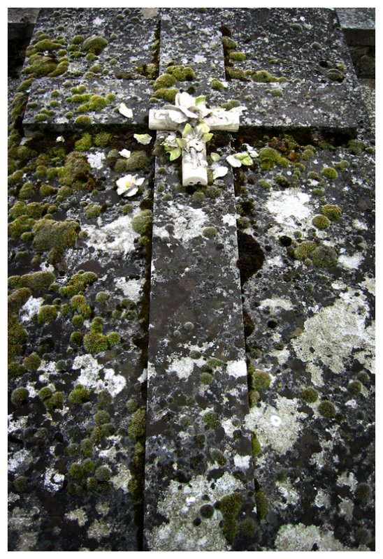 Cross on grave 5