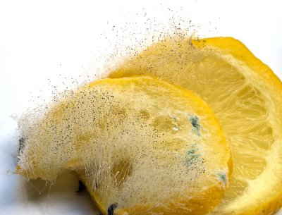 Lemon Mold