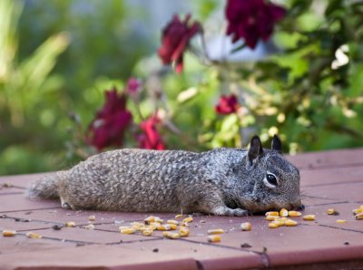 When you have eaten so much you can't move!