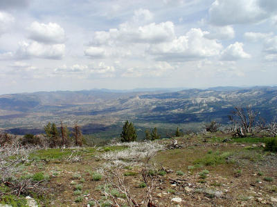 Bald Mountain Vista