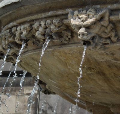  Gargoyle fountain Cologne Cathedral