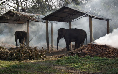 Elephant shelters_burning the dung and old food