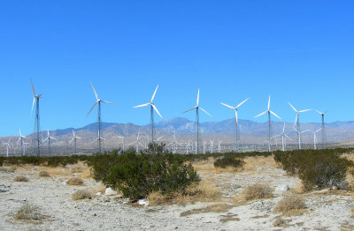 palm springs