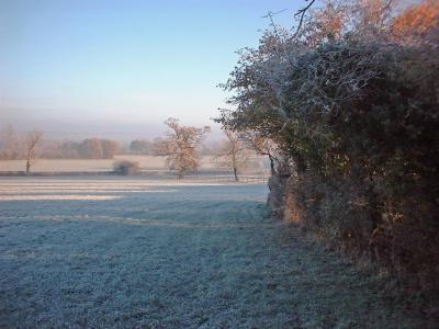 November frosts