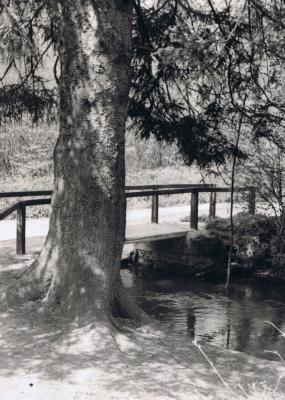 Wooden Bridge at Adbury ford?