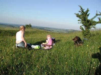 Picnic time!