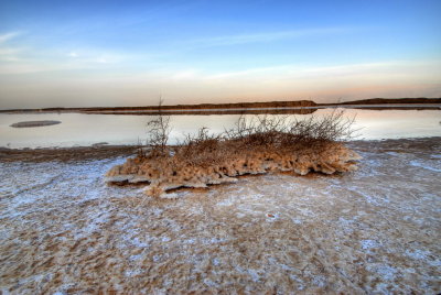 Dead Sea HDR 012.jpg