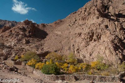 Bedouin garden plots, deep in the valleys