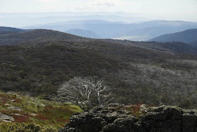From the Mt Cope track