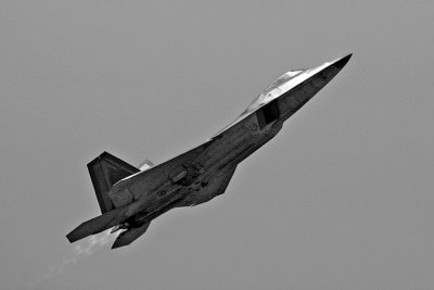 IMG_9041.jpg