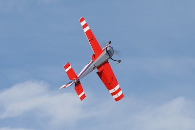 IMG_9013.jpg