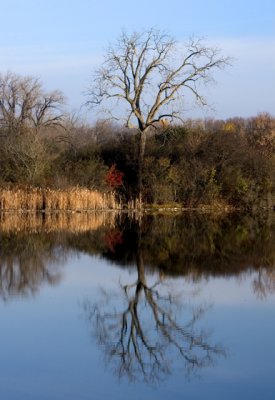 Quarry Reflection