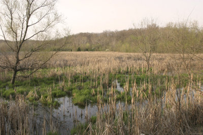 Bear Creek March Apr 11 Num2 small.jpg