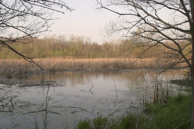 Bear Creek March Apr 11 small.jpg