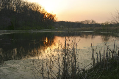 Bear Creek Nature Area Apr 11 num 2 small.jpg