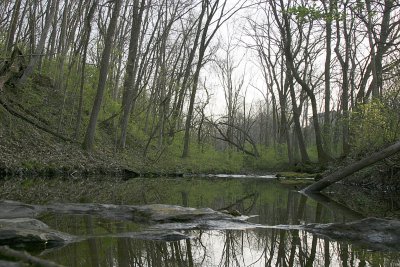Bear Creek Nature Area - Columbia, MO