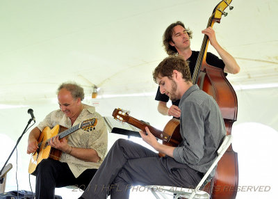 Ameranouche at Paradise Arts, 2011