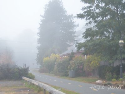 Day 27  Foggy Day 20111024_16 Crossing Guard.JPG